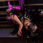 costume magpie