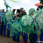 costume_bonnaroo